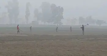 ৪ বিভাগসহ ১২ জেলায় বইছে শৈত্য প্রবাহ