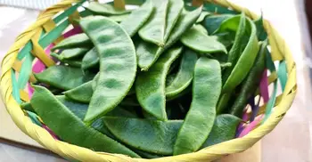 শীতে হজম ঠিক রাখবে এই সবজি