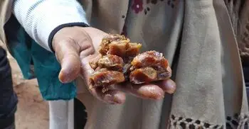 চাঁপাইনবাবগঞ্জে নিম্নমানের খেজুর মজুত, দোকানির লাখ টাকা জরিমানা