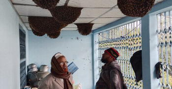 মৌমাছি আর মানুষে যেন বন্ধুত্ব