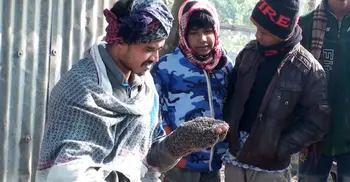 হৃদয়ের হাতে বসে থাকে হাজারো মৌমাছি