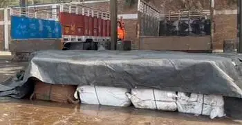 বেনাপোলে মিথ্যা ঘোষণায় আমদানি করা মাছ আটক