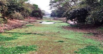 পুনঃখননের উদ্যোগে আবারো আশা জাগাচ্ছে মৃতপ্রায় ‘জিয়া খাল’