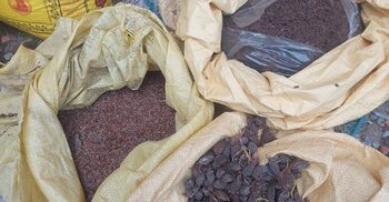 দেশি-বিদেশি ব্র্যান্ডের মোড়কে মশলা বাজারজাত, গুদাম সিলগালা