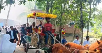 নোয়াখালীতে ঘোড়ার গাড়িতে করে দুই শিক্ষকের রাজকীয় বিদায়