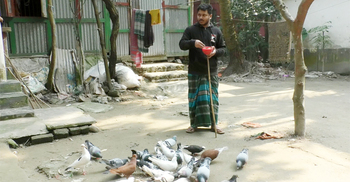 শখ থেকে শুরু, এখন কবুতরেই চলে ইয়ামিনের পড়াশোনার খরচ