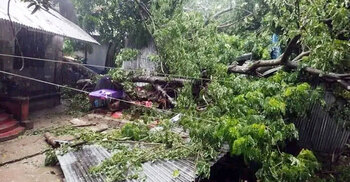 রিমালে ভোলায় বিধ্বস্ত সাড়ে ৭ হাজার বসতঘর