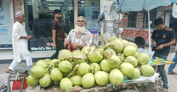 যেভাবে মনপুরার ৫০ টাকার ডাব ঢাকায় এসে হয় ১৫০ টাকা