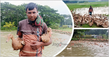 দৈনিক ৬৫ হাজার টাকার ডিম বিক্রি করেন জাকির হোসেন