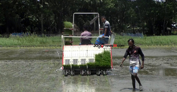 ভোলায় বাড়ছে আবাদ, শূন্যের কোঠায় পতিত জমি