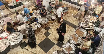 ‘ইলিশের বাড়িতেও’ বৈশাখের দাপট, কেজি সাড়ে ৩ হাজার টাকা