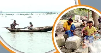 ইলিশ উধাও, জলবায়ু পরিবর্তনকে দুষছেন গবেষকরা