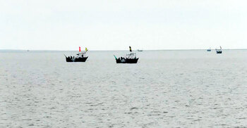 ভোলায় লঞ্চের ধাক্কায় ট্রলারডুবি