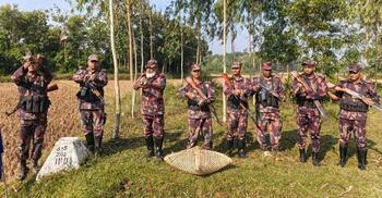 ফেনীতে বিজিবির সহায়তায় রক্ষা পেলো ৯০ শালিকের প্রাণ