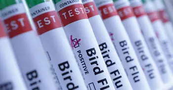US reports first bird-flu case in a child