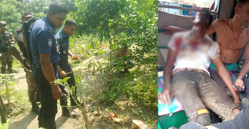 যশোরে বেগুনক্ষেতে বোমা বিস্ফোরণ, কিশোর আহত