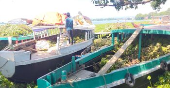 নৌকায় পচছে কলা-জাম্বুরা-পেঁপেসহ নানা কাঁচামাল