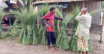 চরে জন্মানো ঘাস বিক্রির টাকায় চলে সংসার