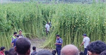 বগুড়ায় পাটক্ষেতে মিললো মানুষের কঙ্কাল