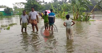 ভেসে গেছে সাড়ে ছয় হাজার পুকুরের মাছ, ক্ষতি ৪৩ কোটি টাকা