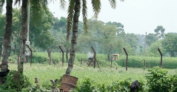 ভারতীয় চোরাকারবারীদের লক্ষ্য করে বিজিবির গুলি