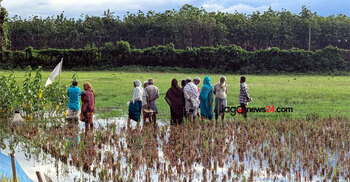 Tension between BGB, BSF over push-in at Kurigram border