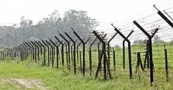ব্রাহ্মণবাড়িয়া সীমান্তে বিএসএফের গুলিতে দুই বাংলাদেশি নিহত
