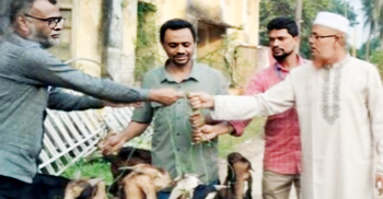 গোরস্থানের ঘাস খেয়ে বন্দিদশার একবছর পর মুক্তি পেলো ৯ ছাগল