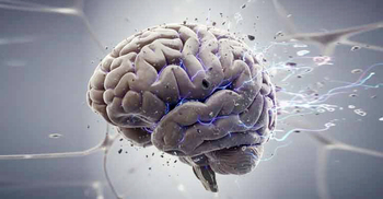 বয়সের প্রভাবে মস্তিষ্কের কোথায় ক্ষয় শুরু হয়