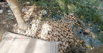 কোটি টাকার সম্পদ মুহূর্তেই হয়ে যায় আবর্জনা