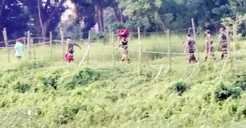 পেট্রাপোল সীমান্তে বিএসএফের হাতে বাংলাদেশি আটক