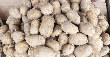 স্বস্তি ফেরেনি খুলনার বাজারে