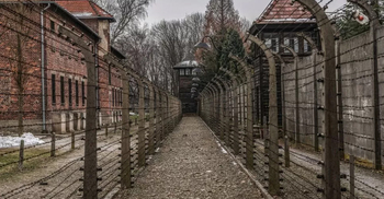 X removes Holocaust-denying post after Auschwitz Museum criticism