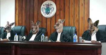 ক্যাঙ্গারু কোর্ট কী, কী এর ইতিহাস