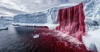 জমাট বরফে রক্তধারা, ৫০ লাখ বছরের গোপন রহস্য