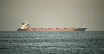 হরমুজ প্রণালি দিয়ে কিছু দেশের জাহাজ যেতে পারবে, নিশ্চিত করলো ইরান