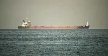 ‘হরমুজে ট্রাম্পের অবরোধ খুব কম জাহাজকে প্রভাবিত করবে’