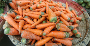 যে কারণে ডাক্তার শীতে গাজর খেতে বলেন