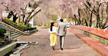 প্রথম ডেটে মুখোমুখি নয়, পাশাপাশি হাঁটলে বাড়বে সম্পর্কের গভীরতা