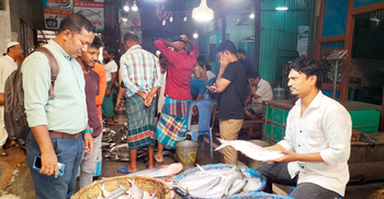 সরবরাহ কম, দাম বাড়ছে ইলিশের