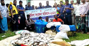 চাঁদপুরে নিষেধাজ্ঞা না মেনে ইলিশ শিকার, ৪২ জেলে আটক