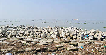 মেঘনার ভাঙন রোধে ৮০০ কোটি টাকায় নির্মিত হচ্ছে বাঁধ