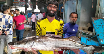 এক আইড়ের দাম ২১ হাজার