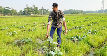 ‘ঋণ নিয়ে আবাদ করেছি, এখন পথে বসার অবস্থা’