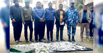 চাঁদপুরে জব্দ জাটকা গেল এতিমখানায়