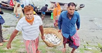 নিষেধাজ্ঞা শেষে ইলিশ শিকারে জেলেরা, ফিরেছে কর্মচাঞ্চল্য
