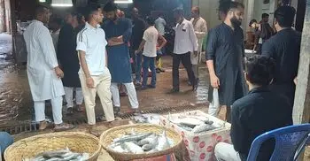 সাপ্তাহিক ছুটির দিনেও ইলিশশূন্য চাঁদপুরের ঘাট