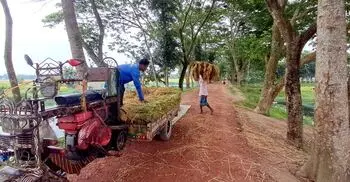 চাঁদপুরে সড়কের নির্মাণকাজ রেখে লাপাত্তা ঠিকাদার, দুর্ভোগে এলাকাবাসী
