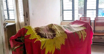 ভোলাহাটে পূর্ব শত্রুতার জেরে দুই পক্ষের সংঘর্ষ, নিহত ১