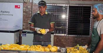 চাঁপাইনবাবগঞ্জে তৈরি হচ্ছে ড্রাই ম্যাংগো